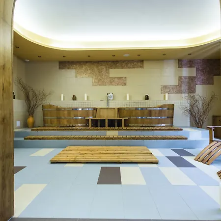 Hotel Dziki Potok Konferencje&spa