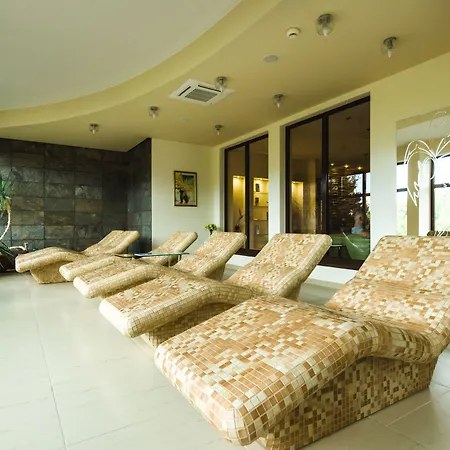 Dziki Potok Konferencje & 3*