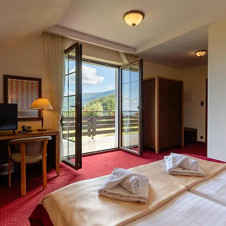 Dziki Potok Konferencje&spa Hotel