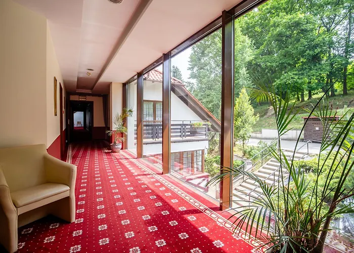 Dziki Potok Konferencje & 3*