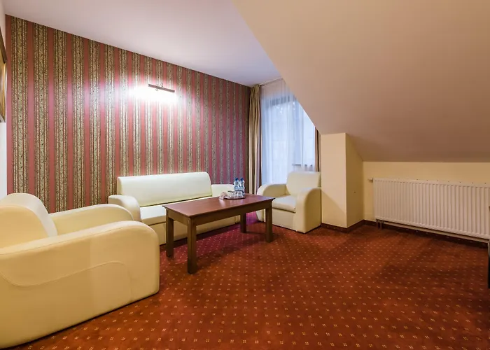 Hotel Dziki Potok Konferencje&spa 3*