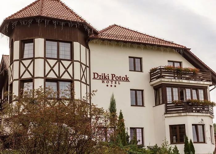 Dziki Potok Konferencje & 3*