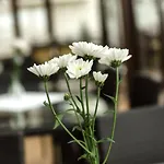 Hotel Hotel Dziki Potok Karpacz Karpacz