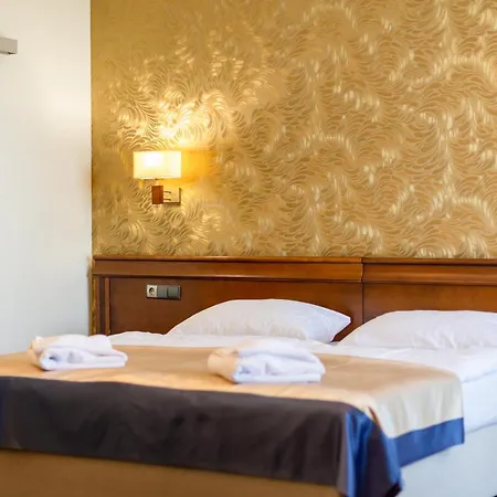 Hotel Dziki Potok 3*