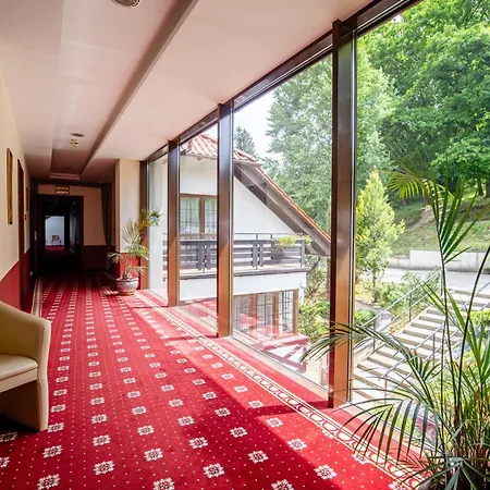 Hotel Dziki Potok Karpacz 3*