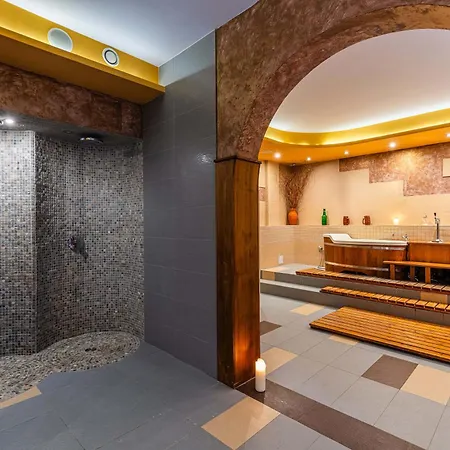 Hotel Hotel Dziki Potok Karpacz Konferencje & Spa 3*