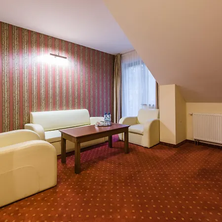 Hotel Dziki Potok 3*