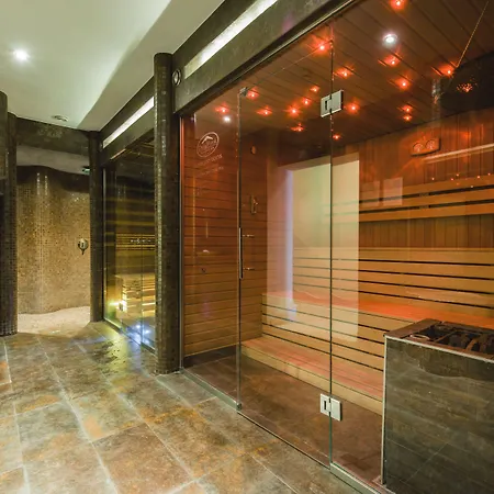 Dziki Potok Konferencje&spa 3* Karpacz