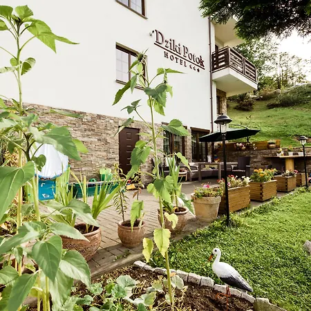 Hotel Dziki Potok