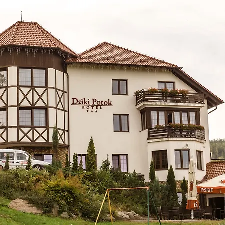 Hotel Dziki Potok 3*