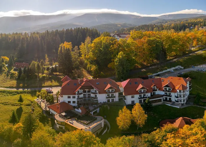 Dziki Potok Konferencje &