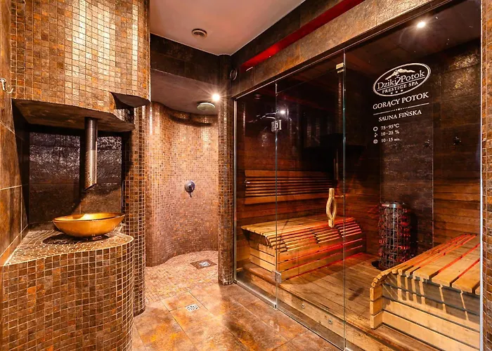 Hotel Dziki Potok Konferencje & Karpacz